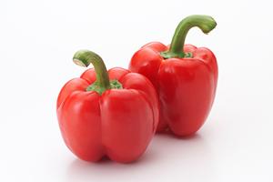 心斎橋の最新カフェガイド2025：絶対に訪れたい人気店とおすすめスポット