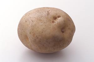 秋葉原の魅力満載！コンカフェでリアルな恋人体験を楽しむ方法