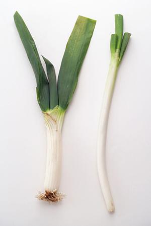 餃子といえば京都のマルシン飯店