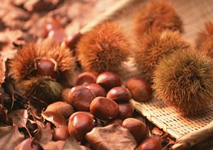 大府市で評判のイタリアンレストラン完全ガイド【2025年最新情報】